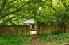 14320   24th Place NE, Seattle WA 98125